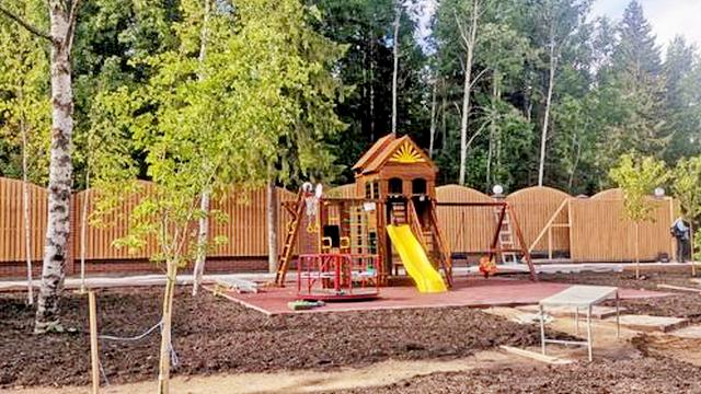 Частное лицо, июль 2023, д. Трепузово 
